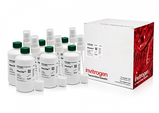 Средство для деконтаминации от РНКазы RNaseZap Фото 2