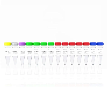 Набор для подготовки NGS библиотек VAHTS Universal DNA Library Prep Kit for Illumina V2, Китай