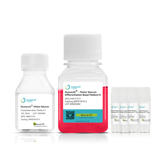 Набор для дифференцировки и ПСК в моторные нейроны hPSC-Motor Neuron Differentiation Kit, Nuwacell, (Китай)