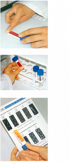 Микробиологические экспресс-тесты для определения КМАФАнМ (ОМЧ) с нейтрализаторами дезинфицирующих средств, Envirocheck DC Фото 1