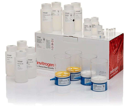 Набор PureLink Expi Endotoxin-Free Giga Plasmid Purification Kit