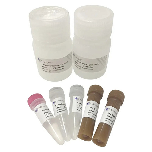 Набор для проведения прямой ПЦР, для быстрого генотипирования мышей, без предварительного выделения ДНК, содержит dUTP и UDG, One Step U+ Probe Mouse Genotyping, Vazyme, Китай