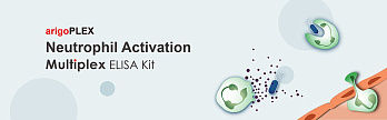 Набор ИФА arigoPLEX Rat M1/M2 Cytokines (IL-6, TNF-α, IL-4, IL-10), 96 тестов, Arigobio, Китай