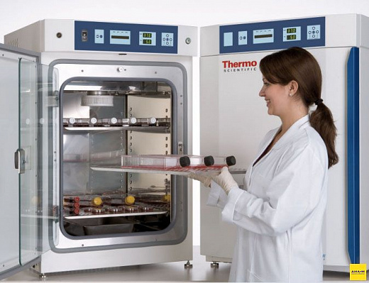 CO₂-инкубатор, 184 л, водяная рубашка, ТК-датчик, 8000 WJ 3429 Фото 1