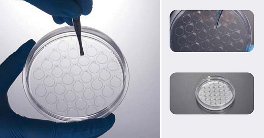 Чашки Петри с покровными пластинами CellSLIP 100 мм, диаметр пластины 8 мм, количество пластин 45 шт., ТС-обработаны, стерильные