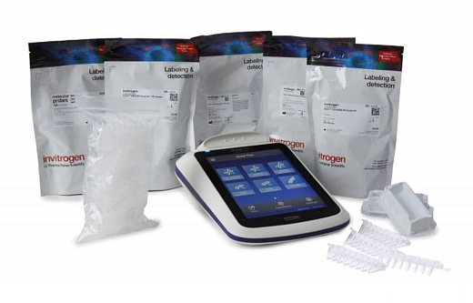 Флуориметр, 2 канала: 456–484/513–563, 612-644/671-693, 8х0,2 мл, стартовый набор для количественного определения, Qubit Flex Фото 1