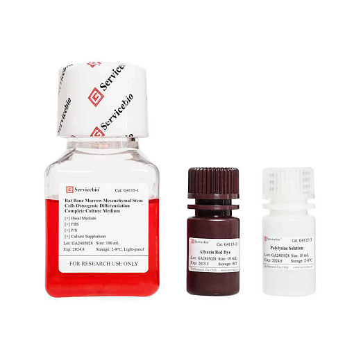 G4115-100ML Набор для остеогенной дифференцировки МСК крысы, 100 мл, Servicebio,  Китай 