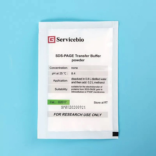 Буфер переноса для электрофореза (SDS-PAGE Transfer Buffer)