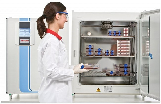 CO₂-инкубатор, 150 л, прямой нагрев, ТК-датчик, влажная стерилизация, камера из нержавеющей стали, Heracell 150i Фото 2