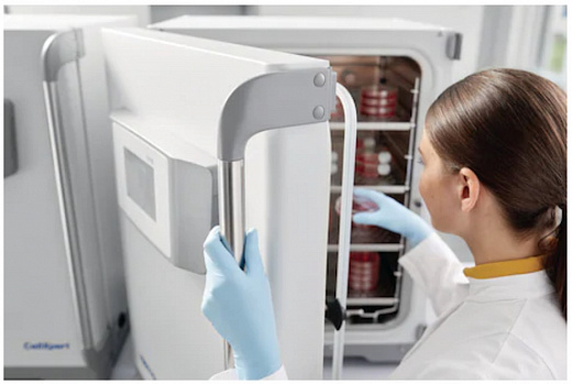 CO₂-инкубатор, 170 л, прямой нагрев, ИК-датчик стерилизуемый, 4-секционная дверца, контроль О₂, ручка слева, CellXpert 170i Фото 3