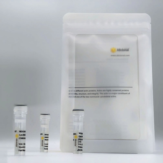 Антитела Anti-Goat IgG (H+L) ослиные, поликлональные, коньюгированные с HPR