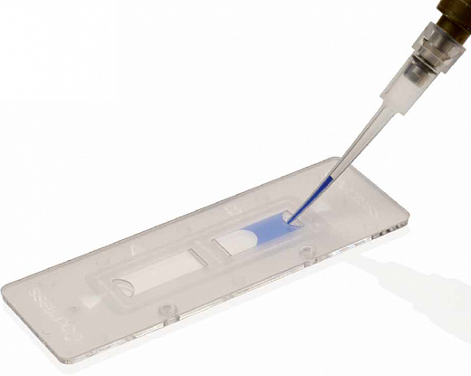 Счетчик и анализатор жизнеспособности клеток, 4-60 мкм, Countess 3 FL Automated Cell Counter Фото 3