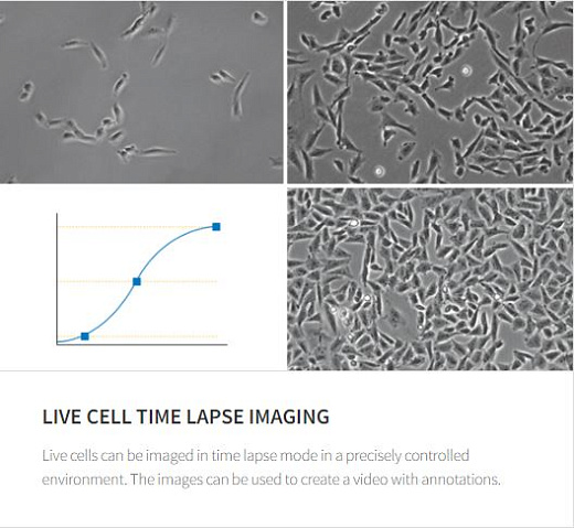 Система визуализации Celena S механический столик, до 5 объективов, 3 светофильтра, цифровая камера в комплекте. (таймлапс)