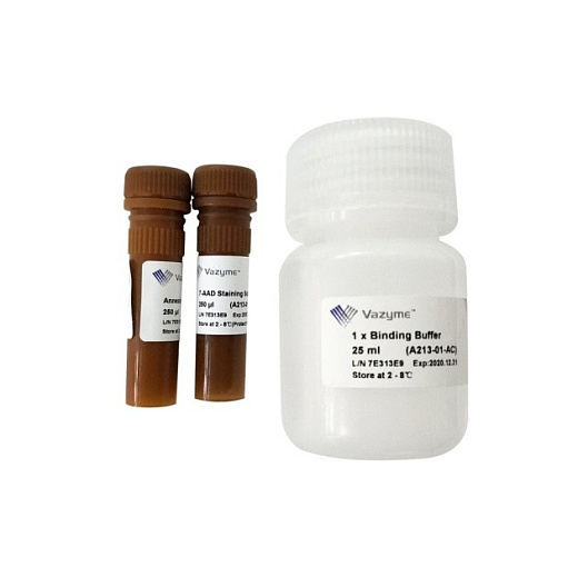 Набор для определения апоптоза Annexin V-PE/7-AAD Apoptosis Detection Kit A213