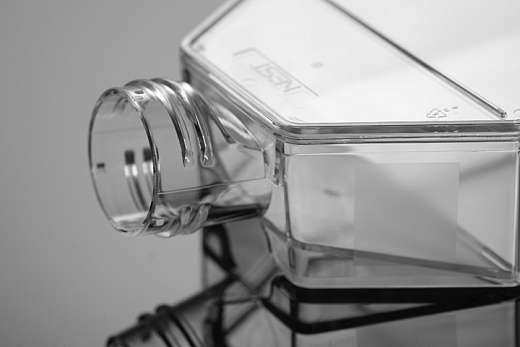 Флаконы культуральные 225 см², вентелируемая крышка, поверхность ТС, полистирол, стерильные Фото 4