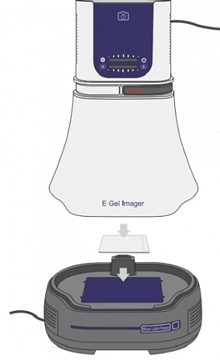 Гельдокументирующая система E-Gel Imager, 1,3 Мп, основание с УФ светом 312 нм, универсальный фильтр Фото 2