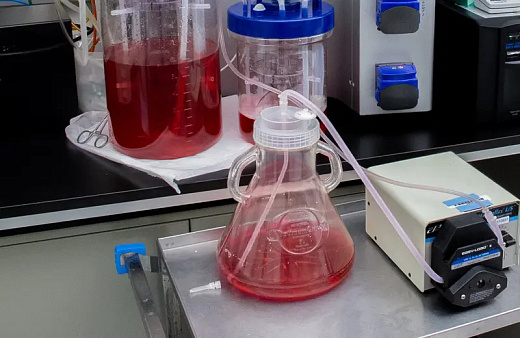 Крышка с портами и трубкой для асептического переноса жидкости из высокопроизводительных колб на 1,6 л, для работы с перистальтическим насосом, стерильная, 8 шт./кор., Thomson