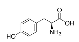 Тирозин-L, 99,0-101,0%, pure EP, USP (pharma grade), neoFroxx