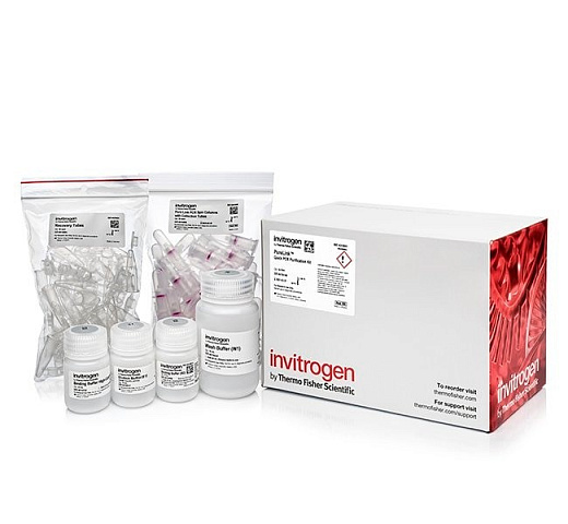 Набор PureLink PCR Purification Kit, Thermo FS