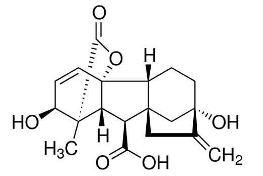 Гибберелловая кислота, 90%, 100 г, Индия