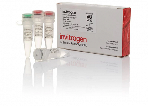 Смесь SuperScript IV VILO Master Mix