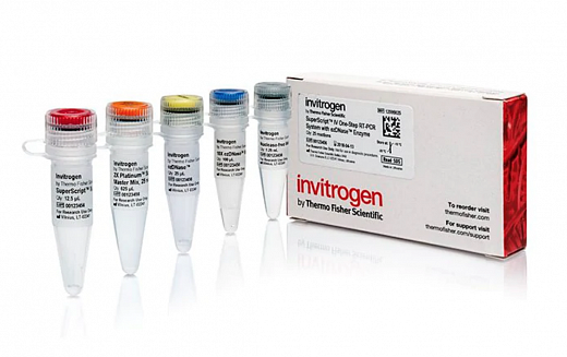 Набор SuperScript IV One-Step RT-PCR System with ezDNase