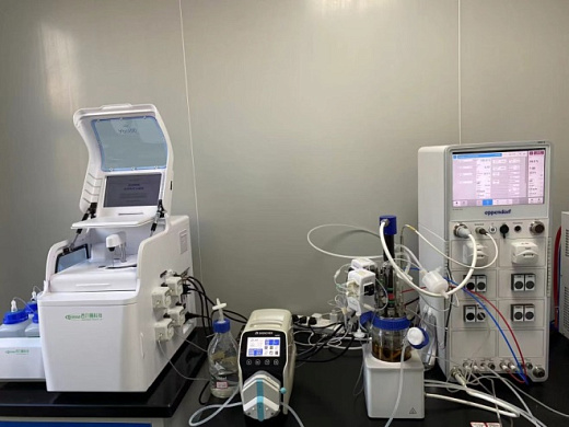 Автоматическая система с онлайн-анализатором AP-100, Sieman