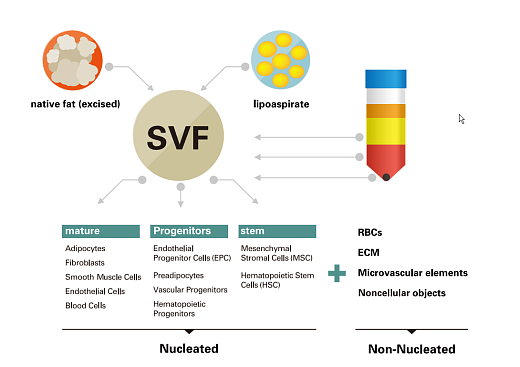 Счетчик и анализатор жизнеспособности стволовых клеток и клеток SVF, 1-90 мкм, LUNA-STEM Фото 3